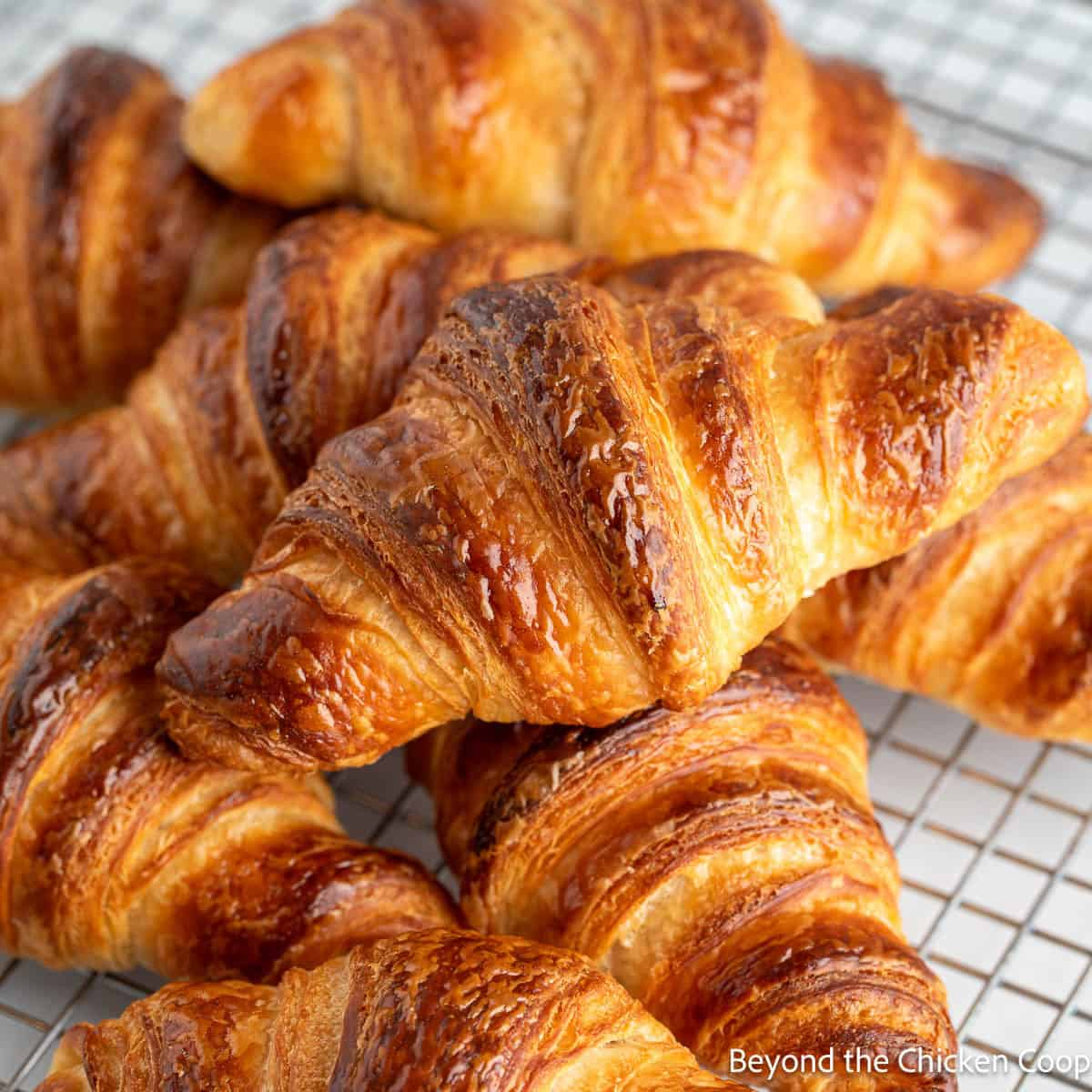 Freshly baked croissant with jam
